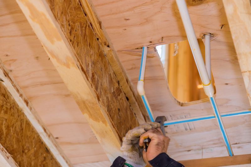 Plumbing and Electrical Professionals